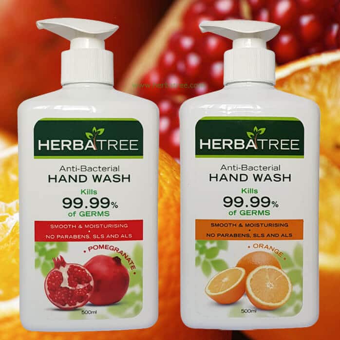 HerbaTree Hand Wash