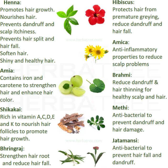 Benefits of HerbaTree Henna Hair Color